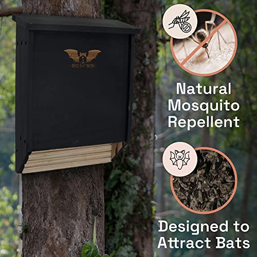 Bat House Kit - Wooden Bat Box for Outdoors