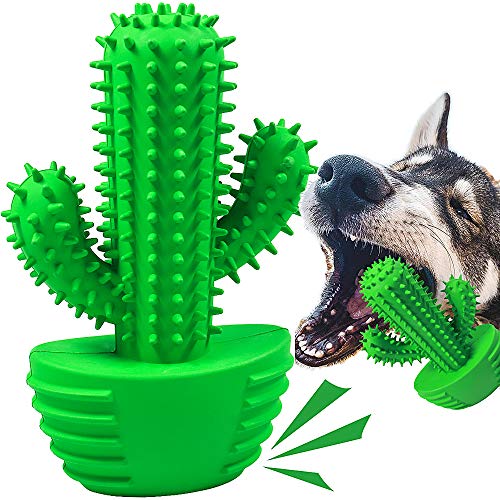 Dog Toothbrush Chew Toy - Tough Dental Stick