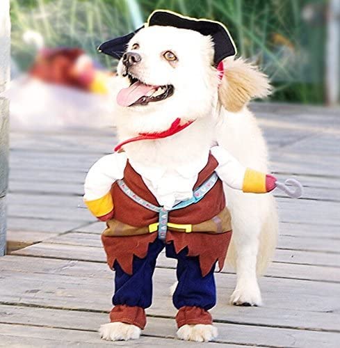 Pirate Dog Cat Costume with Hat - Small