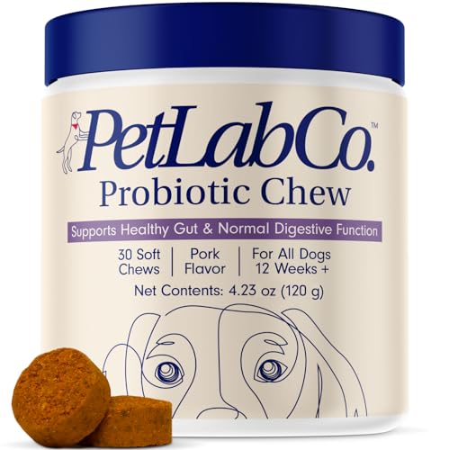 Probiotics for Dogs