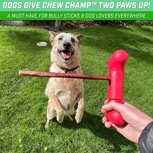 Chew Champ Bully Stick Holder for Dogs