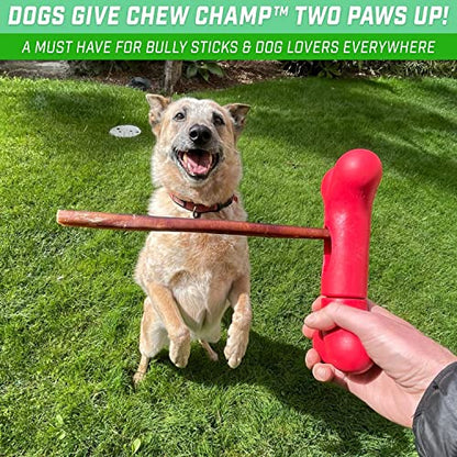 Chew Champ Bully Stick Holder for Dogs