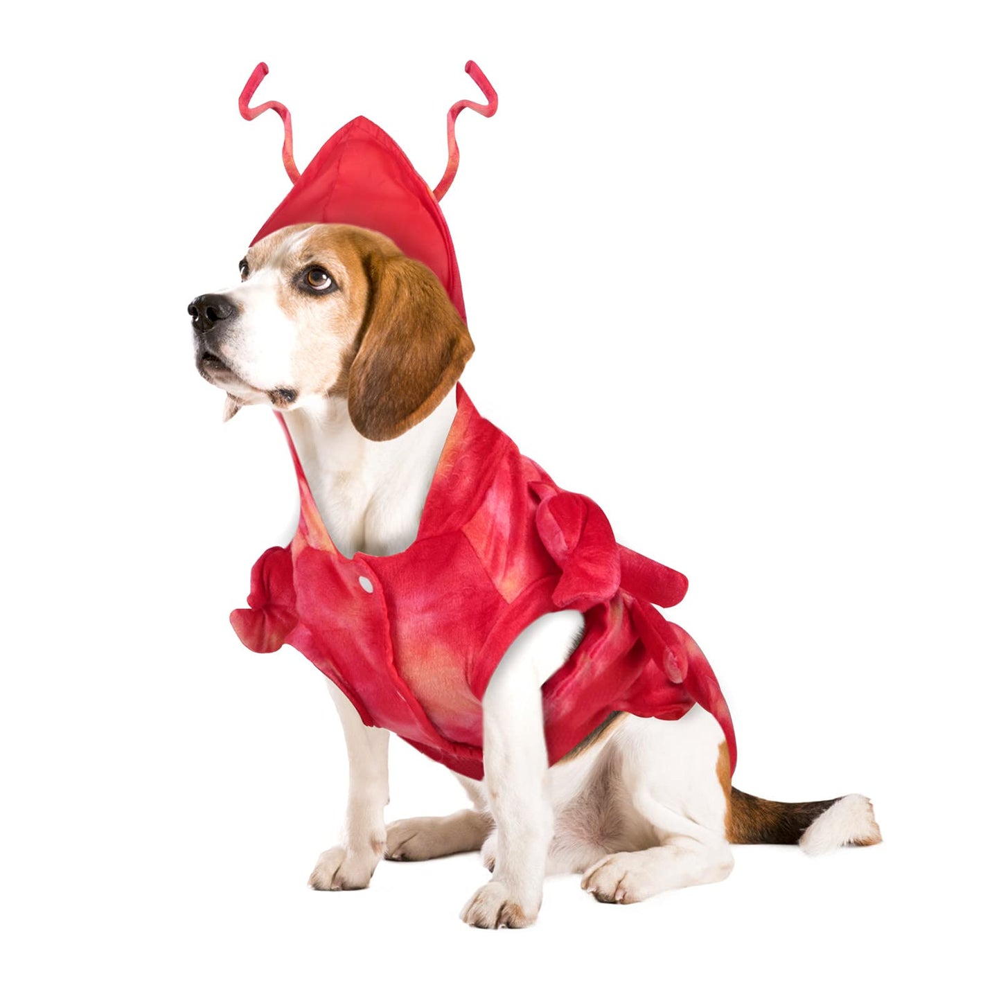 Funny Dog Lobster Costume - Small, S