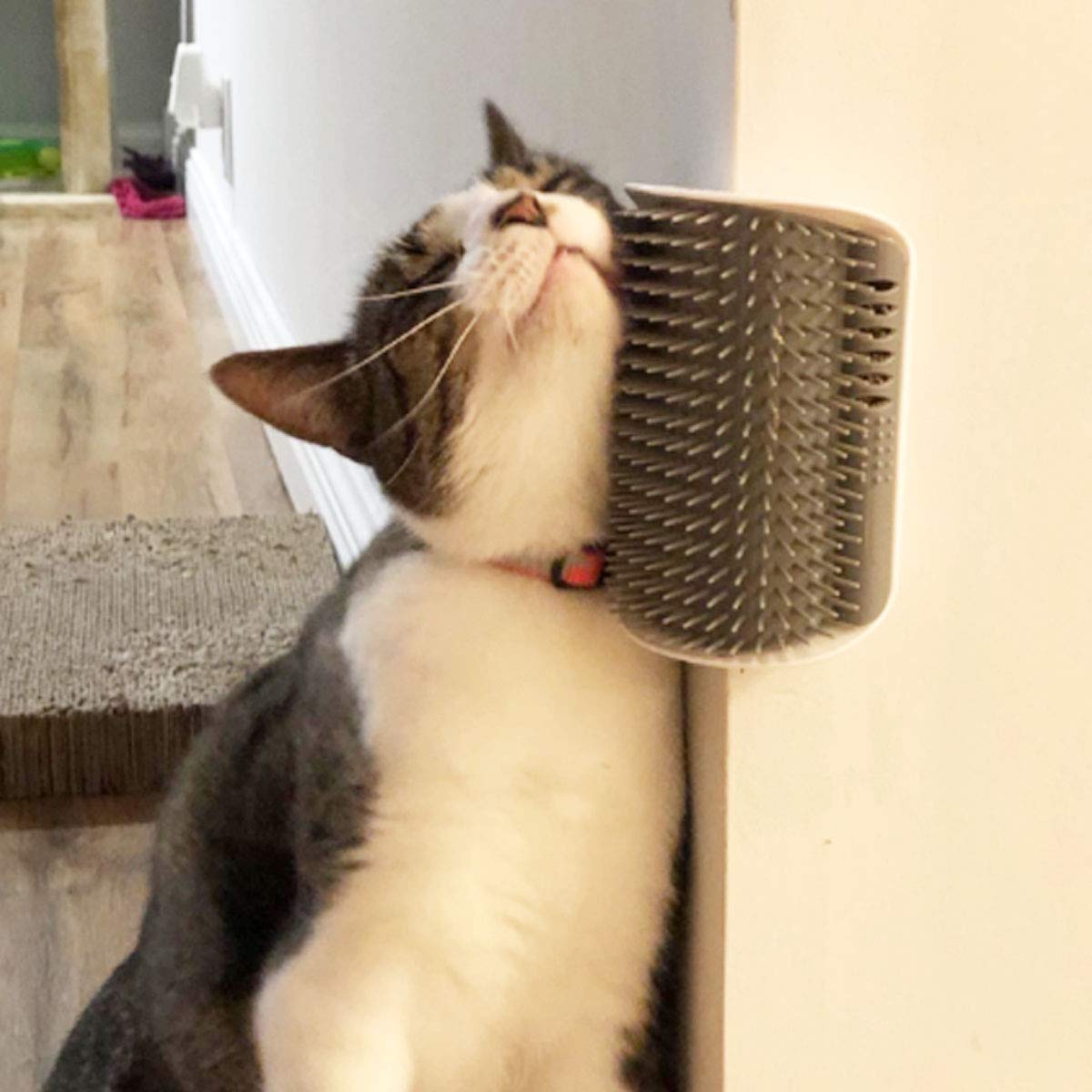 Wall Corner Massage Self Groomer with Catnip