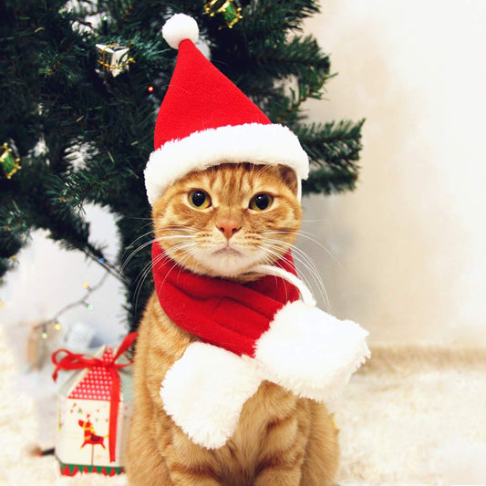 Cat Santa Hat with Scarf - Red