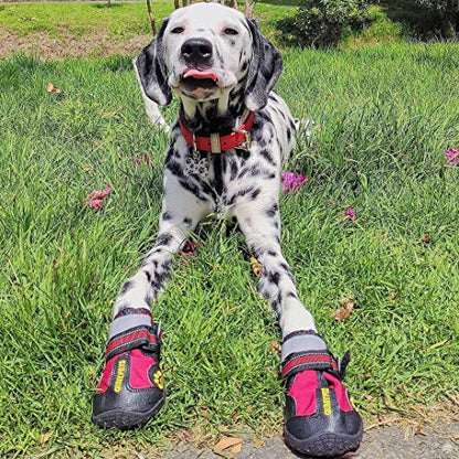 Dog Shoes