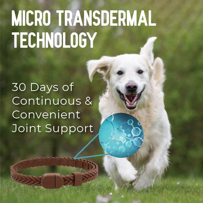 Hip + Joint Mobility Collar for Dogs with Glucosamine, Chondroitin, MSM, and More