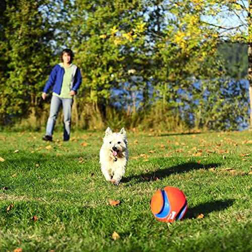 Kick Fetch Ball Dog Toy - Large