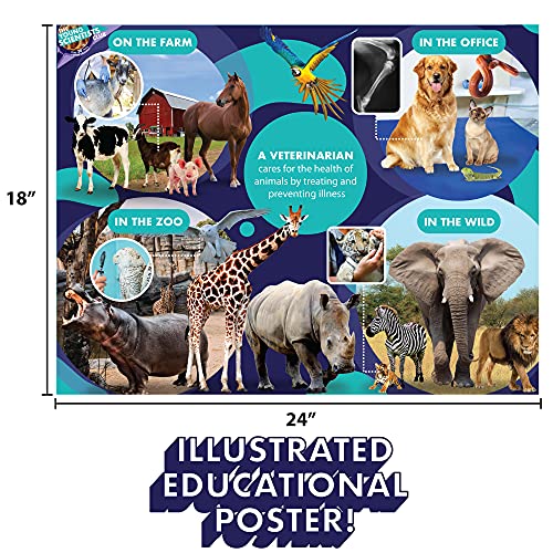 Future Veterinarian STEM Kit for Kids