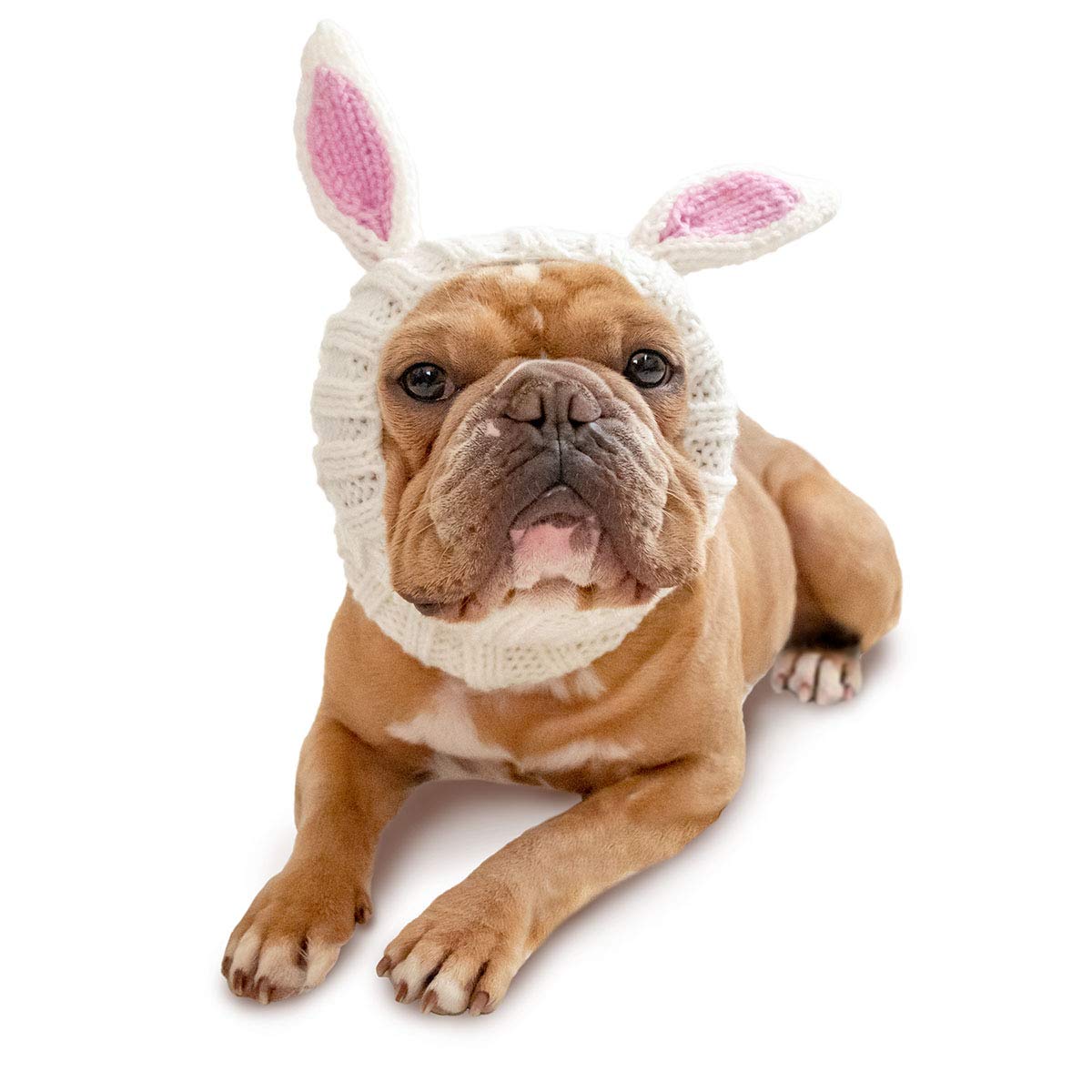 Bunny Costume for Dogs - Large, Soft Yarn Ears