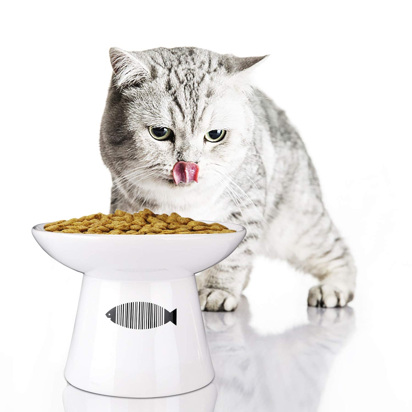 Cat Raised Food/Water Bowl for Elder/Big Cats