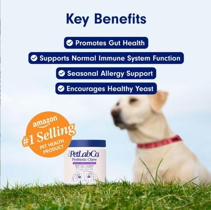 Probiotics for Dogs