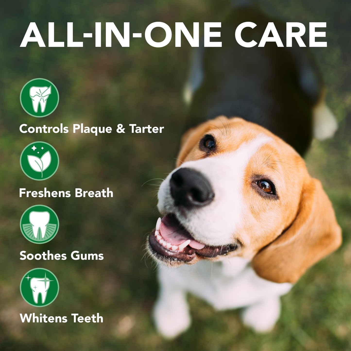 Vet's Best Dog Toothbrush & Toothpaste Kit - Natural Ingredients