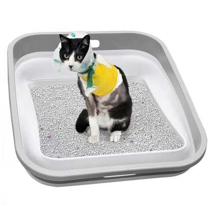 Senior Cat Litter Box