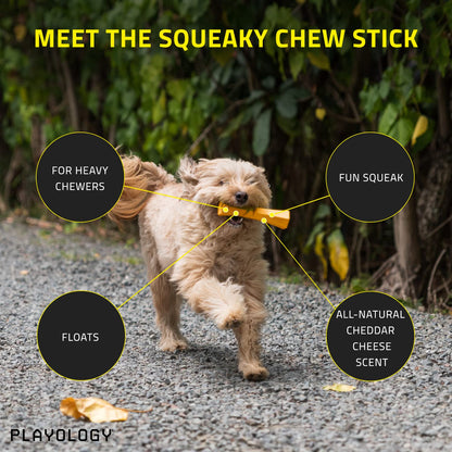 Squeaky Chew Stick Dog Toy