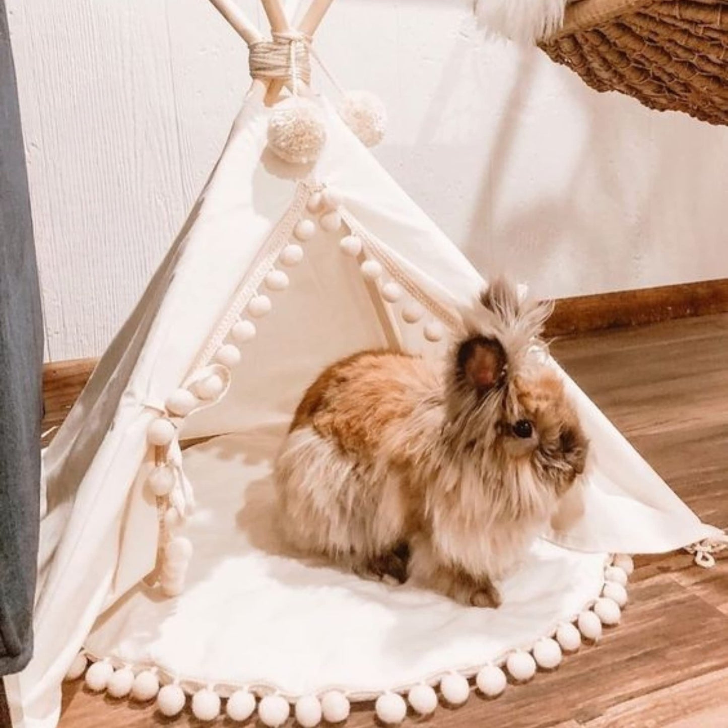 Cozy Small Dog Bed - Cat Teepee