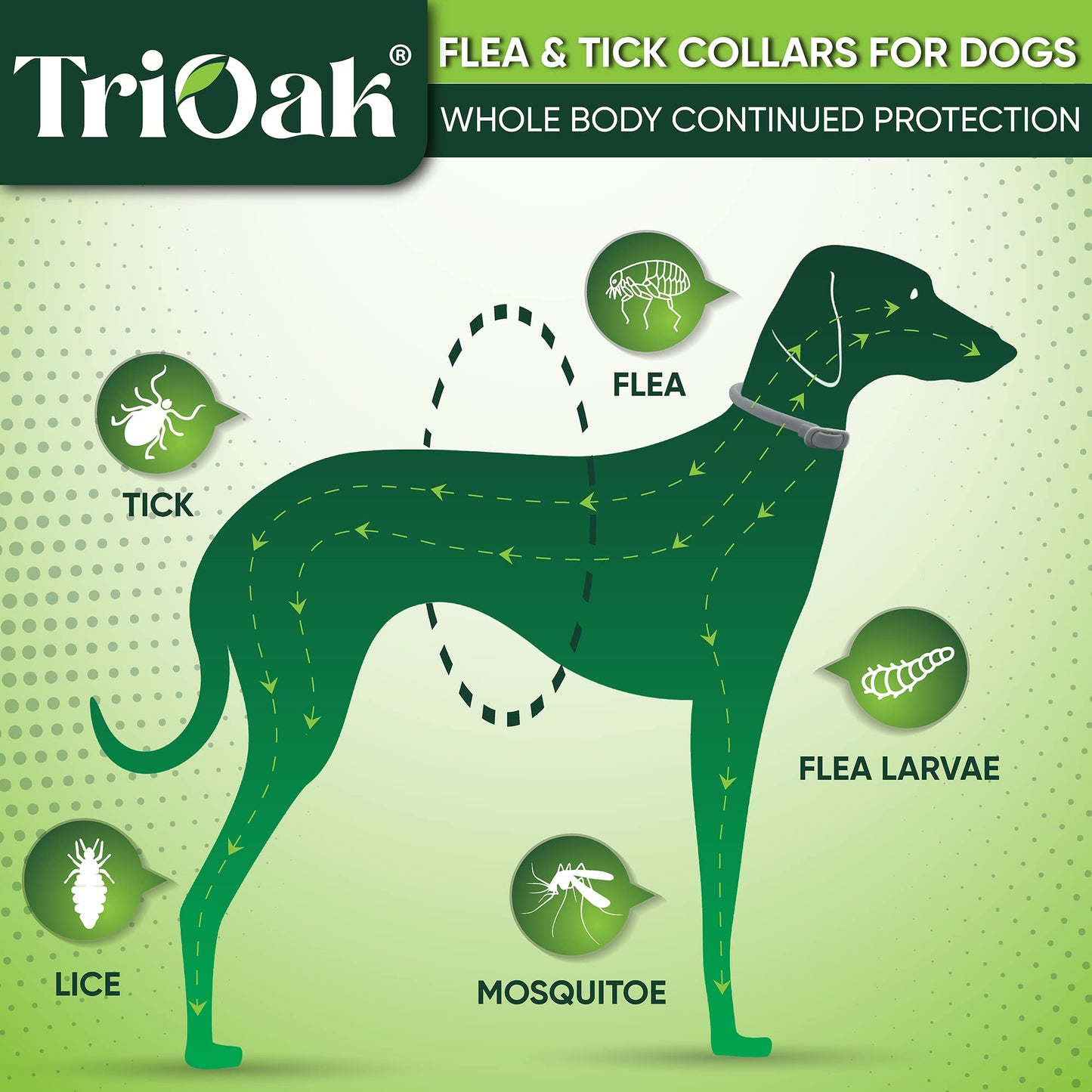 Advanced Dog Flea Collar
