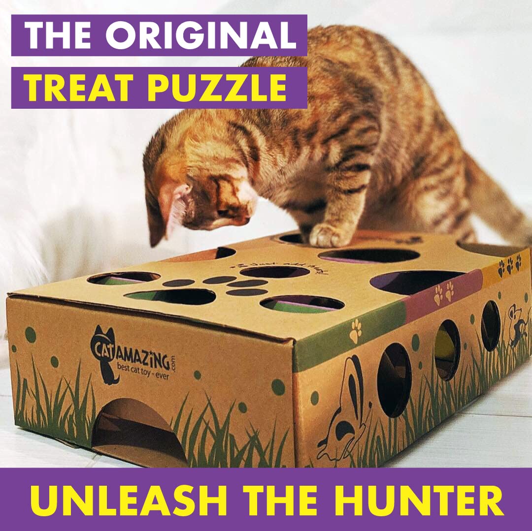 Interactive Cat Puzzle Feeder