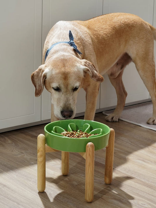 Ceramic Slow Feeder Dog Bowls - Clover Green