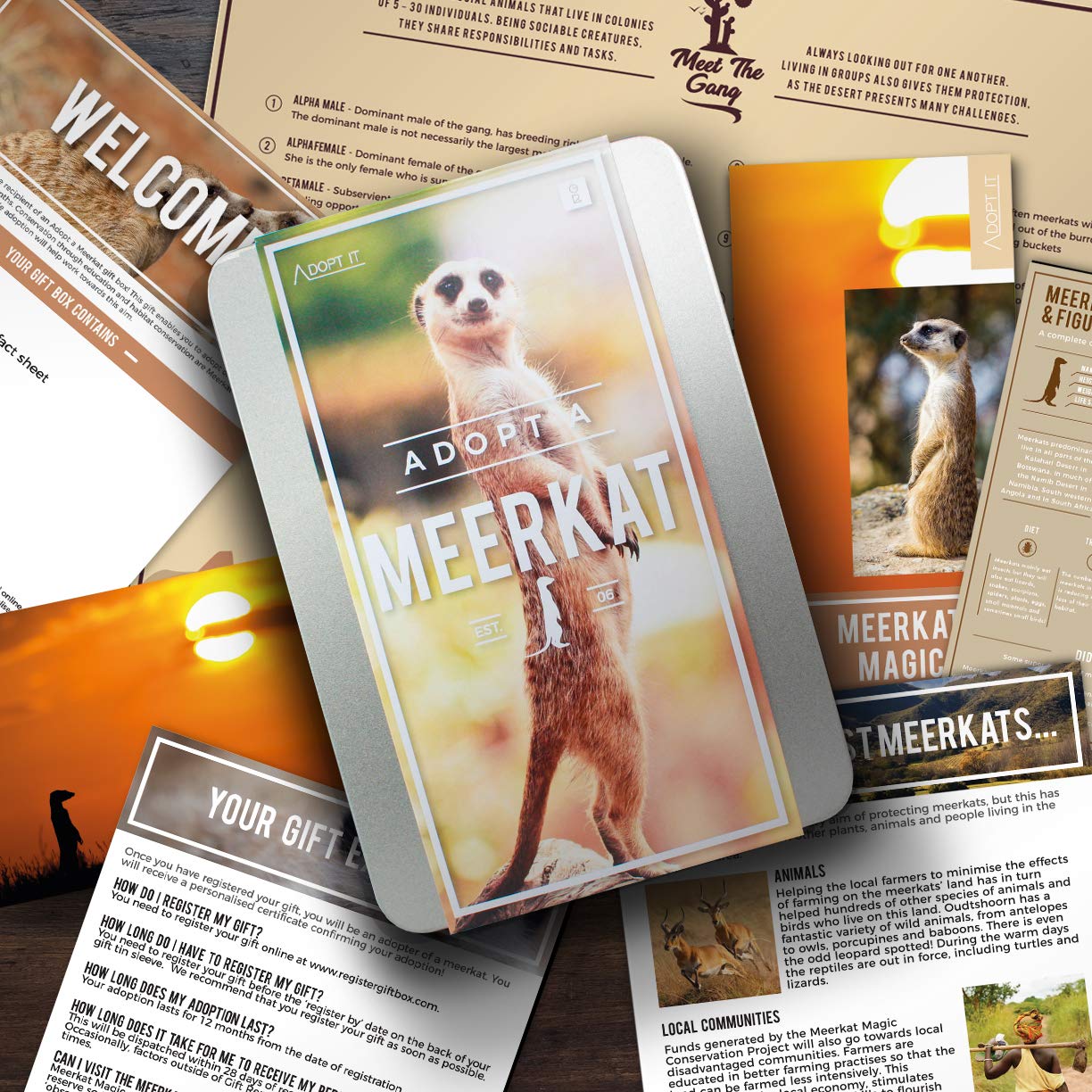 Adopt A Meerkat Gift