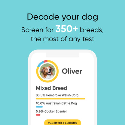 Dog Breed ID DNA Test Kit