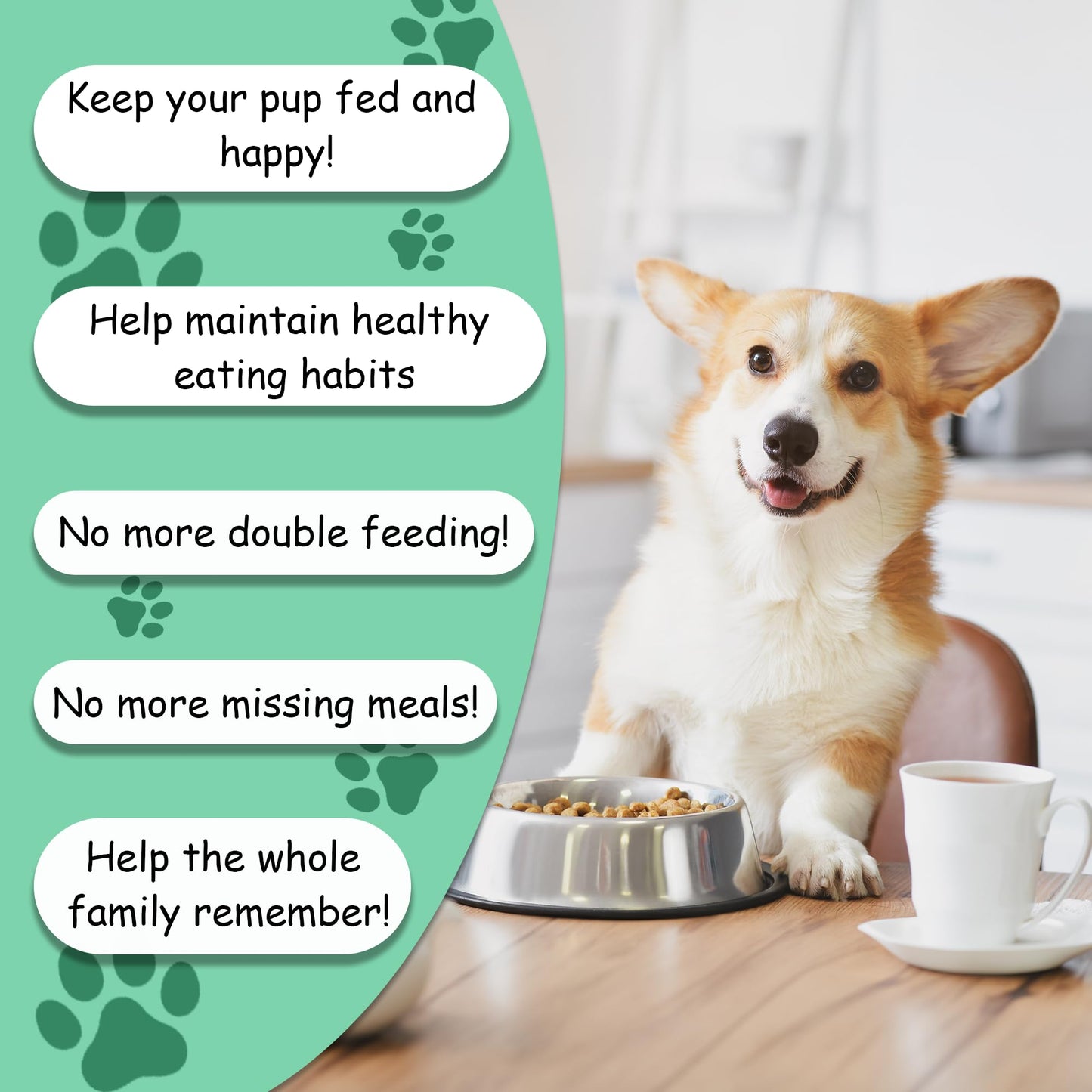Dog Feeding Reminder Magnet - AM/PM Chart
