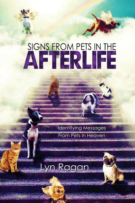 Signs from Pets in the Afterlife - Message Guide