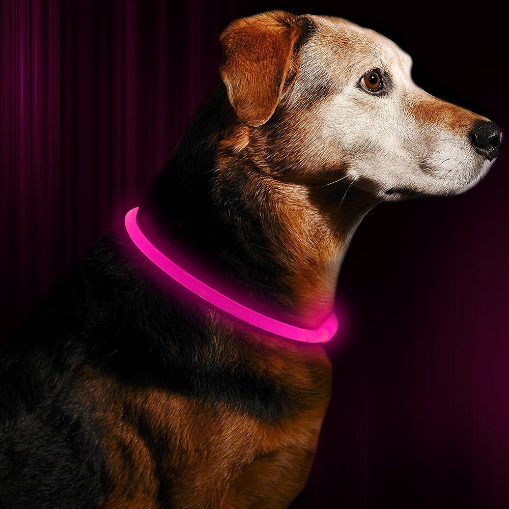 LED Dog Collar - USB Rechargeable