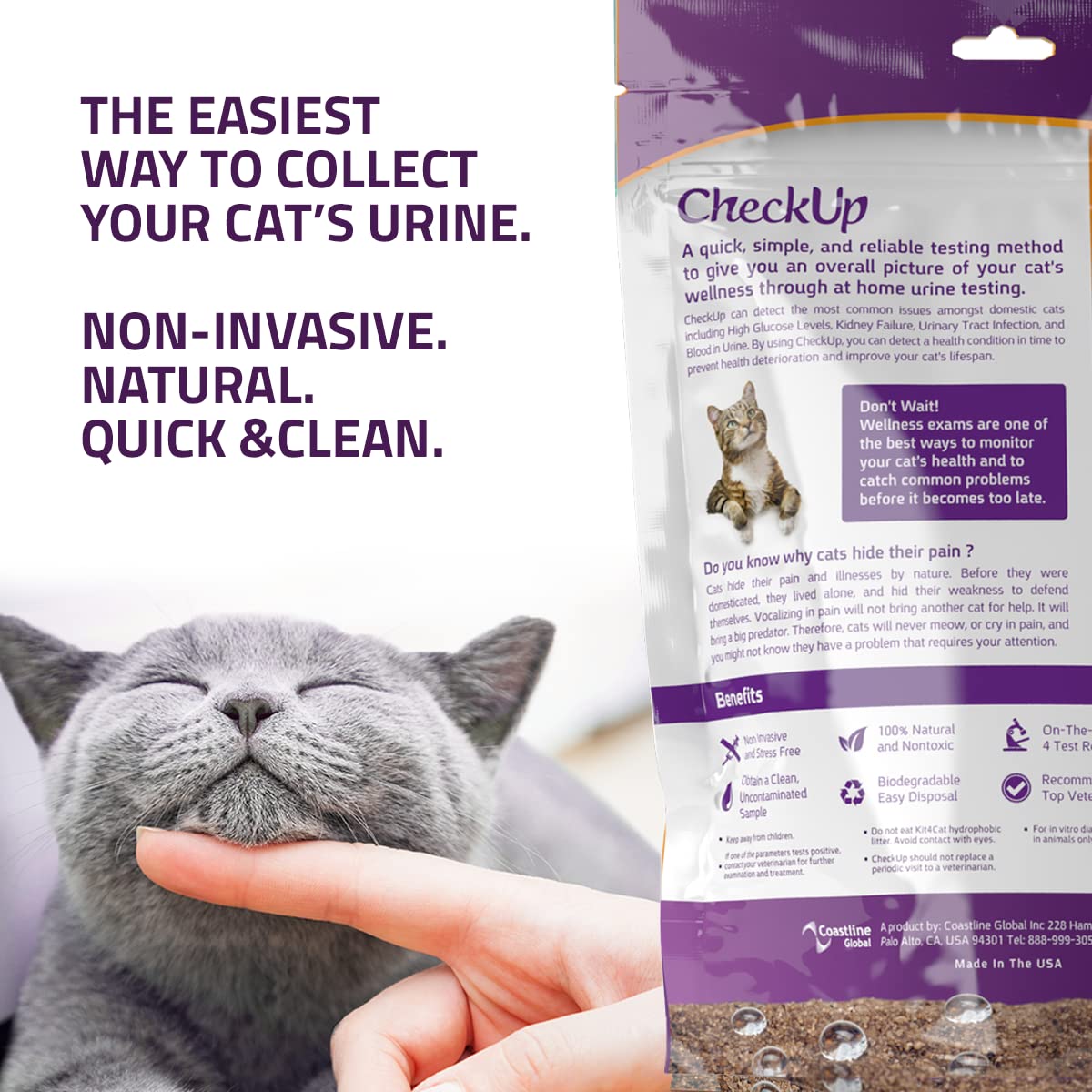 Cat Wellness Test Kit - Home Urine Collection