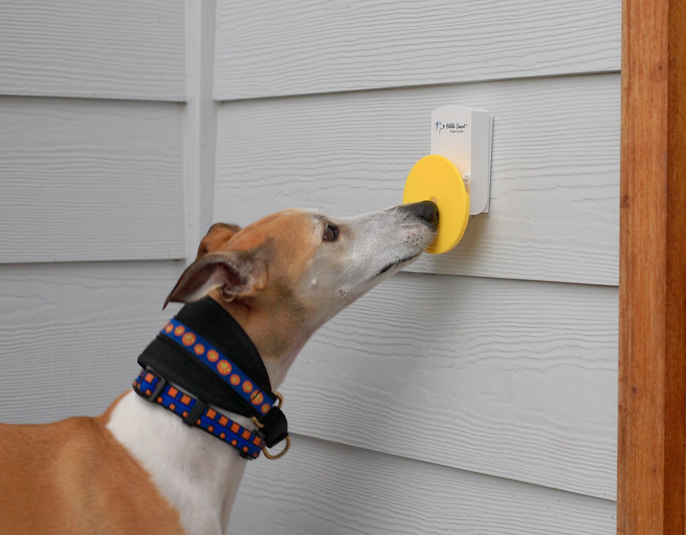 Smart Doggie Doorbell