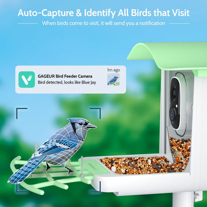Bird Feeder with Camera & AI Species ID