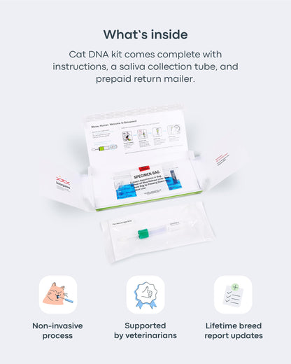 Cat DNA Test Kit - Comprehensive Analysis