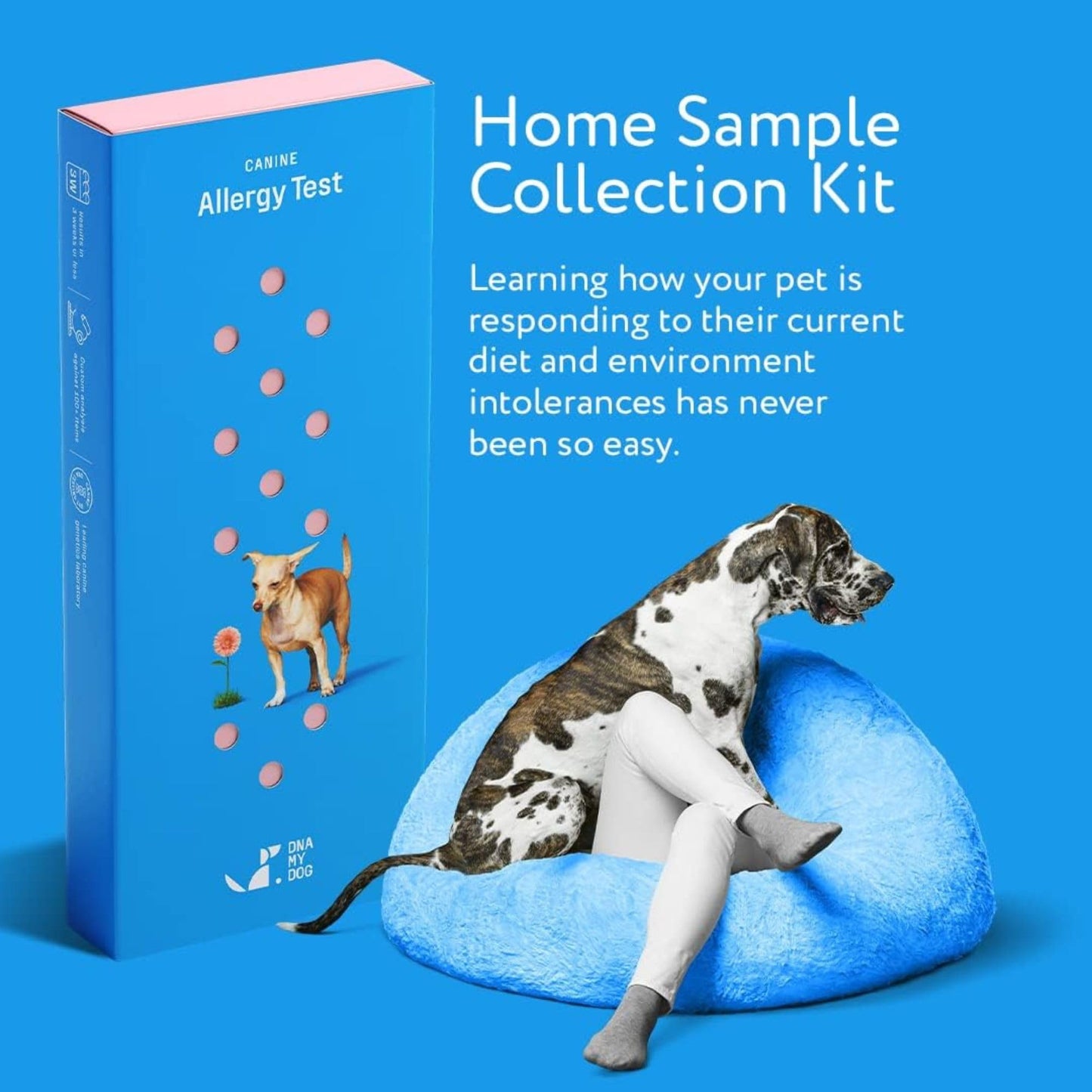 Dog Allergy Test Kit - Home Sample Collection