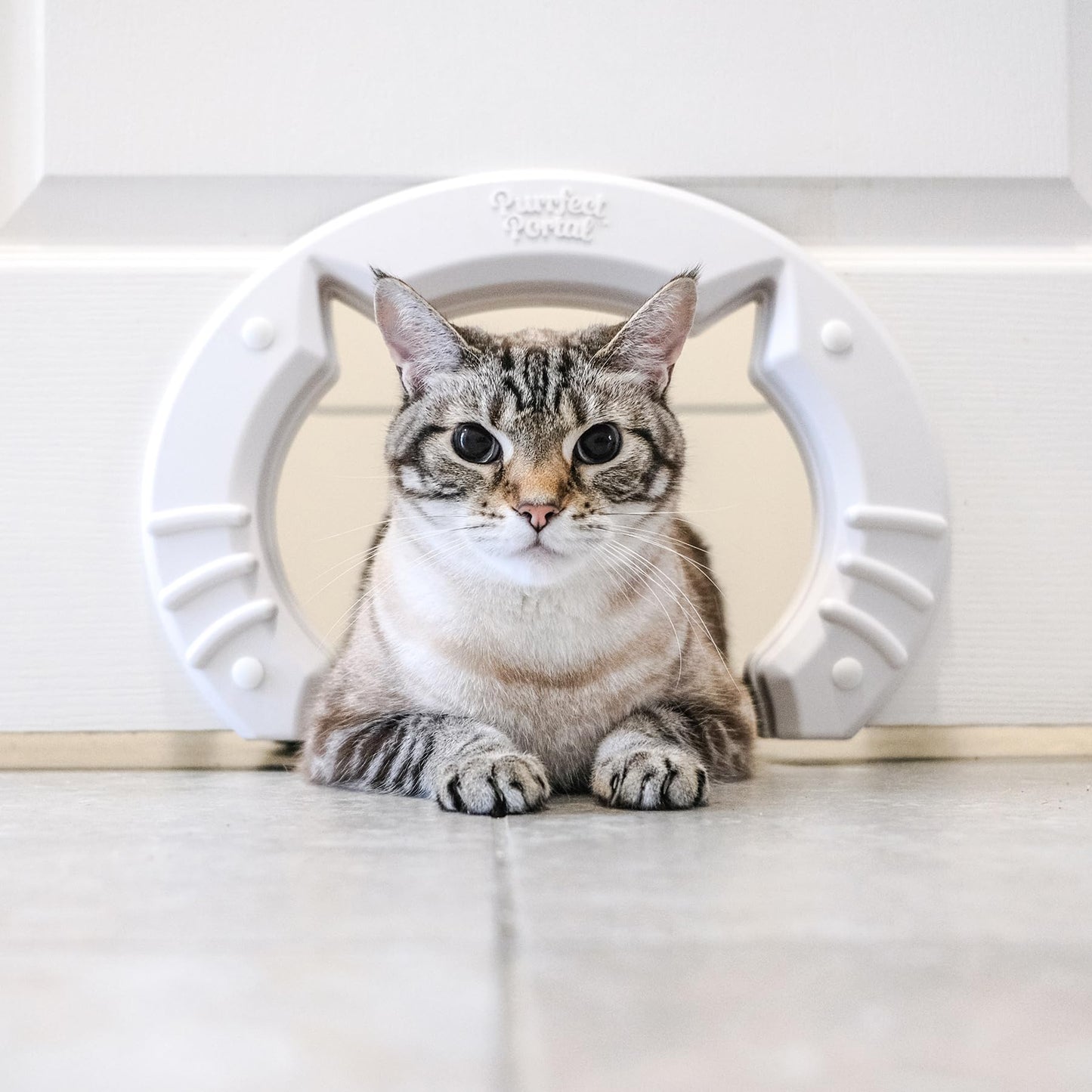 XL Pet Cat Door - White