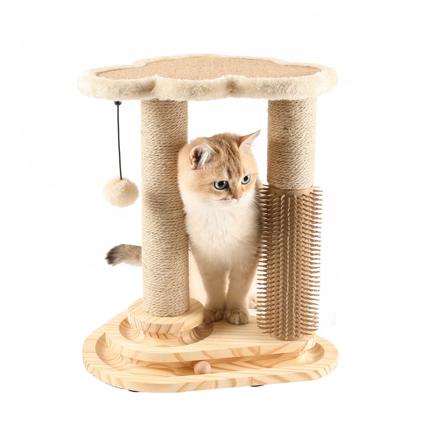 Cat Scratching Post