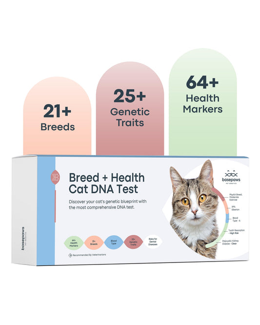 Cat DNA Test Kit - Comprehensive Analysis