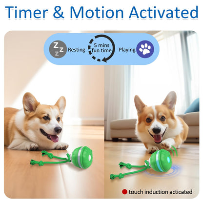 Interactive Dog Toys - Motion Activated Rolling Ball