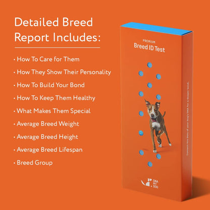 Premium Dog DNA Test - Breed ID & Genetic Age