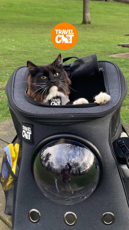 Airline Approved Cat Backpack Carrier