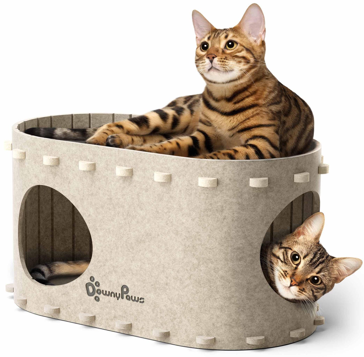 Cat Cave Beds - Foldable Hideaway for Indoor Cats