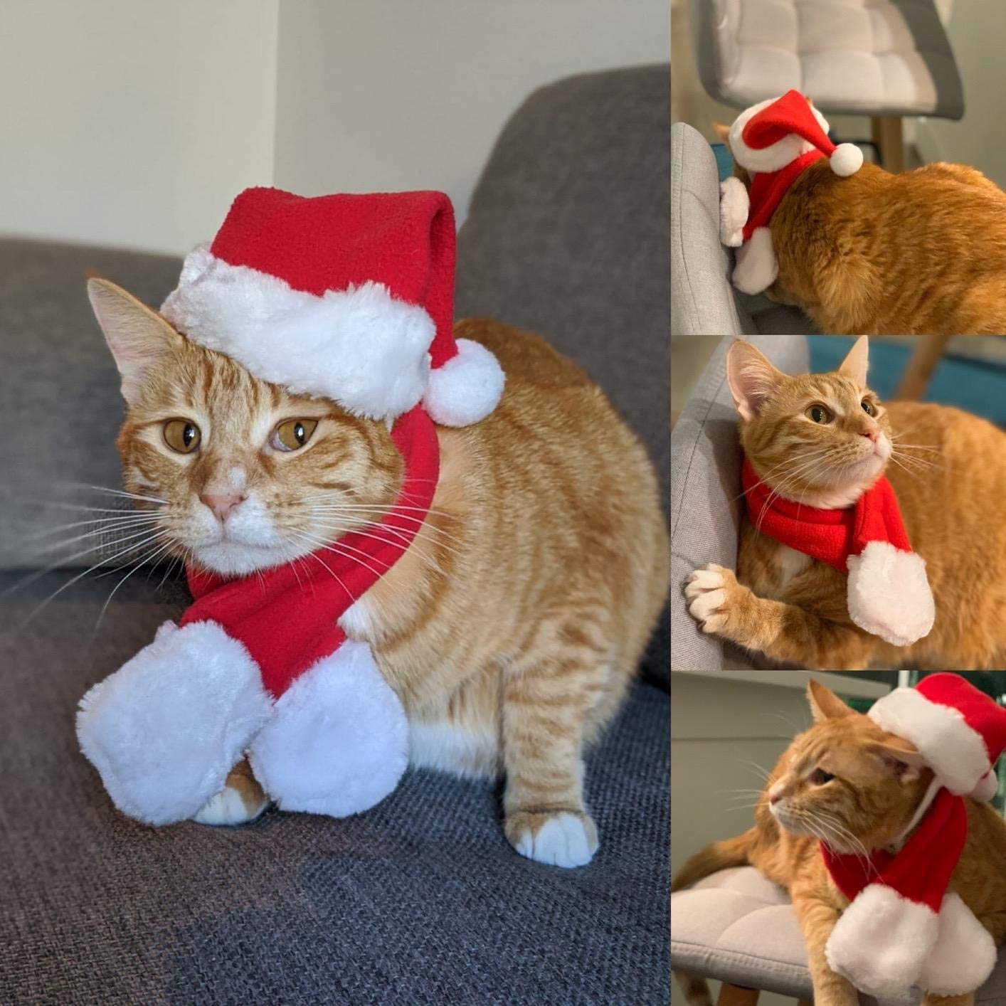 Cat Santa Hat with Scarf - Red