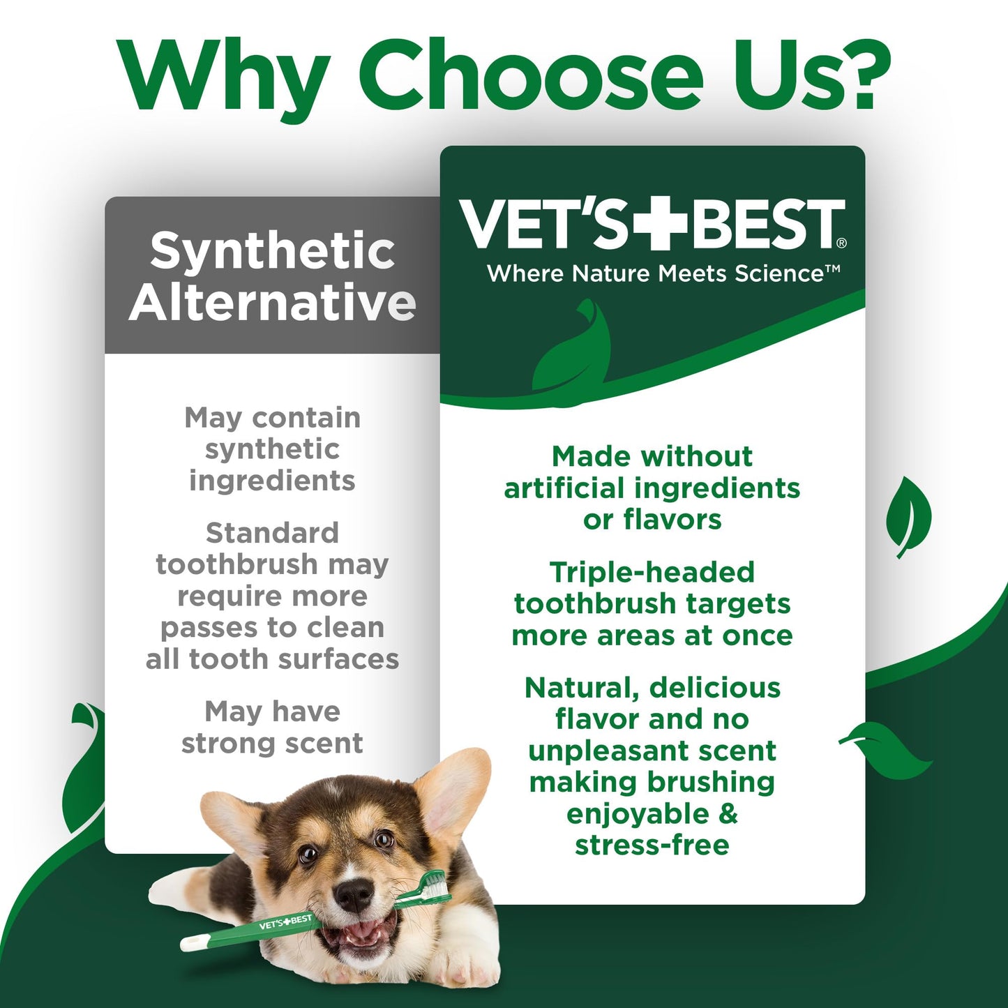 Vet's Best Dog Toothbrush & Toothpaste Kit - Natural Ingredients