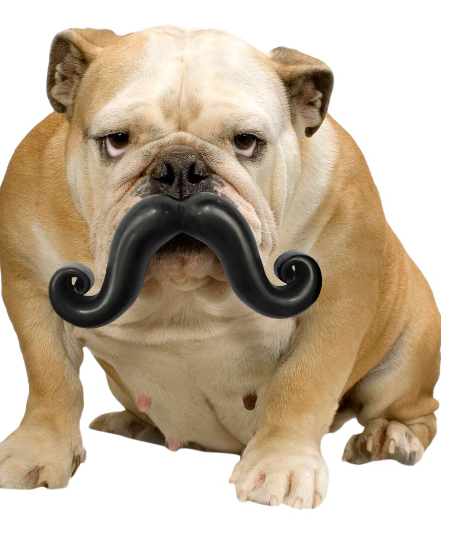 Mini Stache Dog Toy for Small Dogs