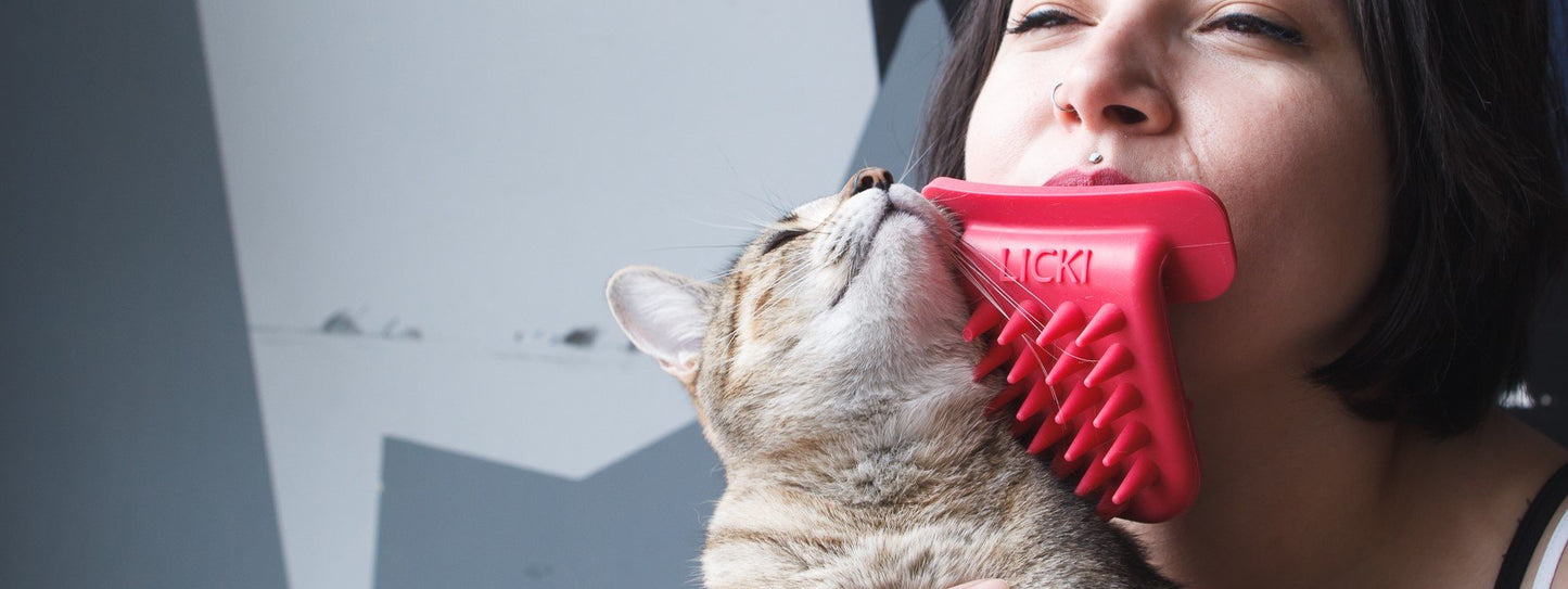 Licki Your Cat Brush