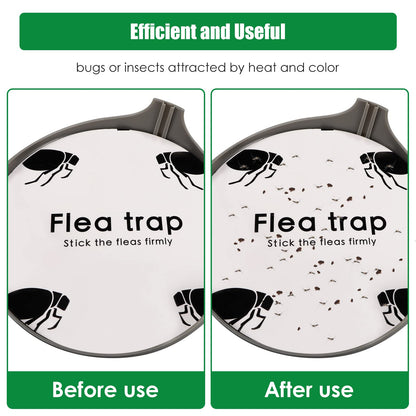 Indoor Flea Traps