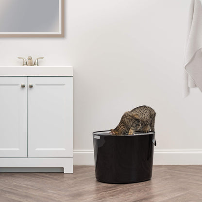 Top Entry Cat Litter Box