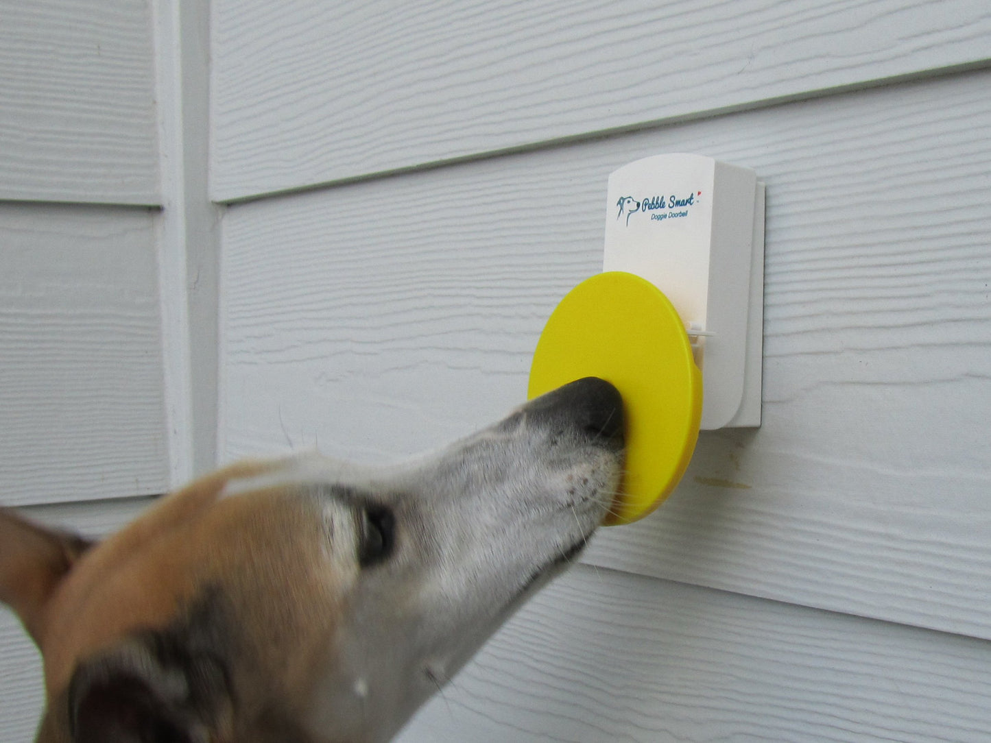 Smart Doggie Doorbell