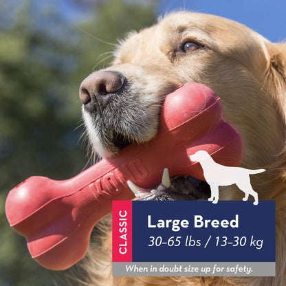 Durable Rubber Chew Bone and Flyer - Large Dogs