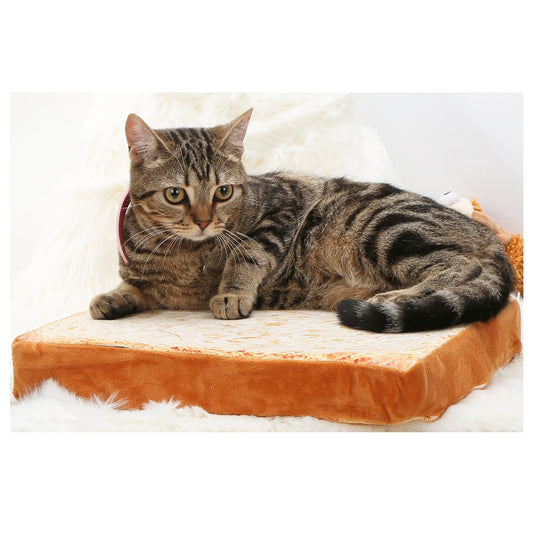 Toast Bread Slice Cat Bed