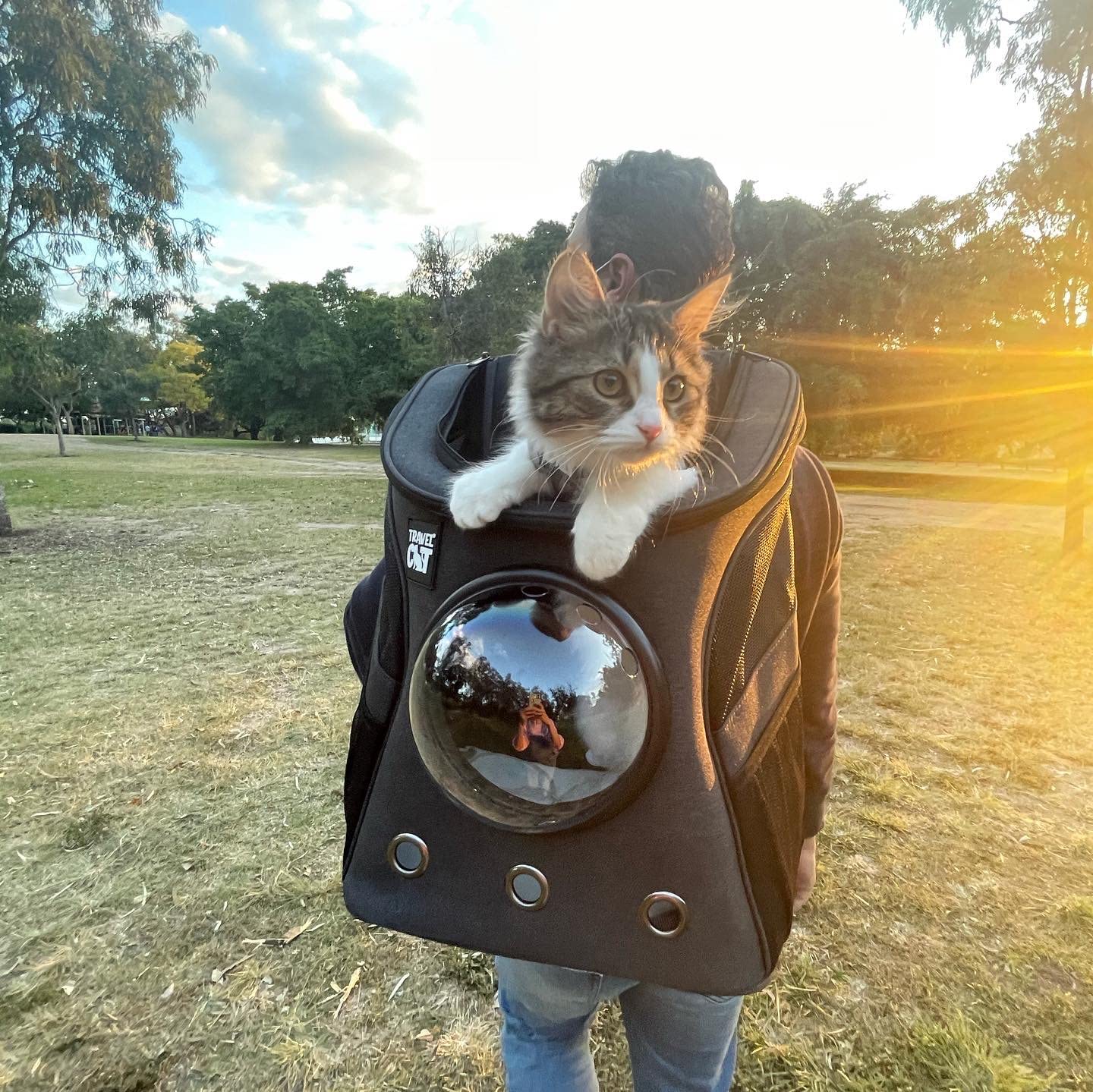 Airline Approved Cat Backpack Carrier